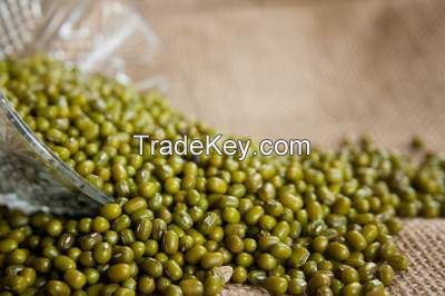 Good quality green mung beans for export