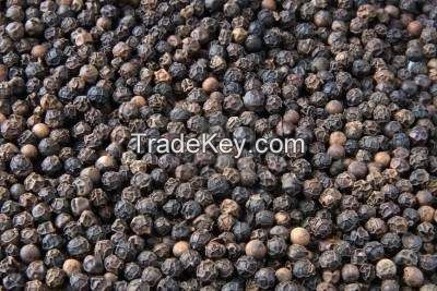 High Quality Black pepper 550 and 500 GL