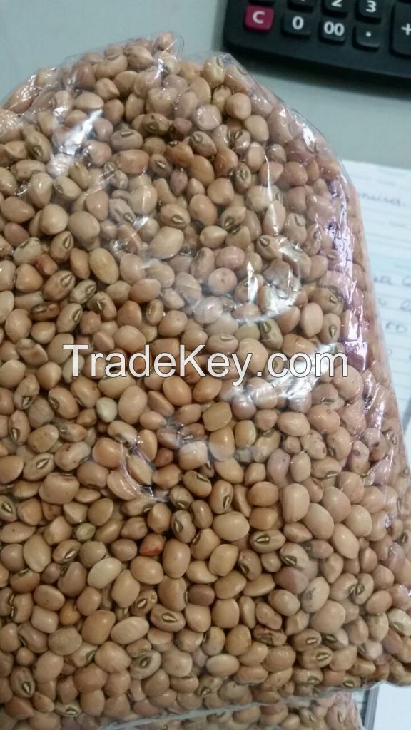 Brazilian Brown Eye Beans, Cowpeas, Popcorn, Non-Corn GMO and Yellow Millet