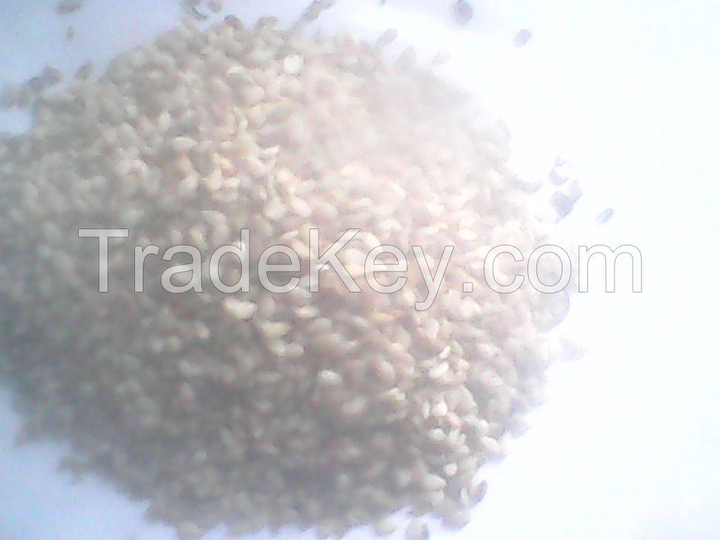 Seeds, cassia tora seeds