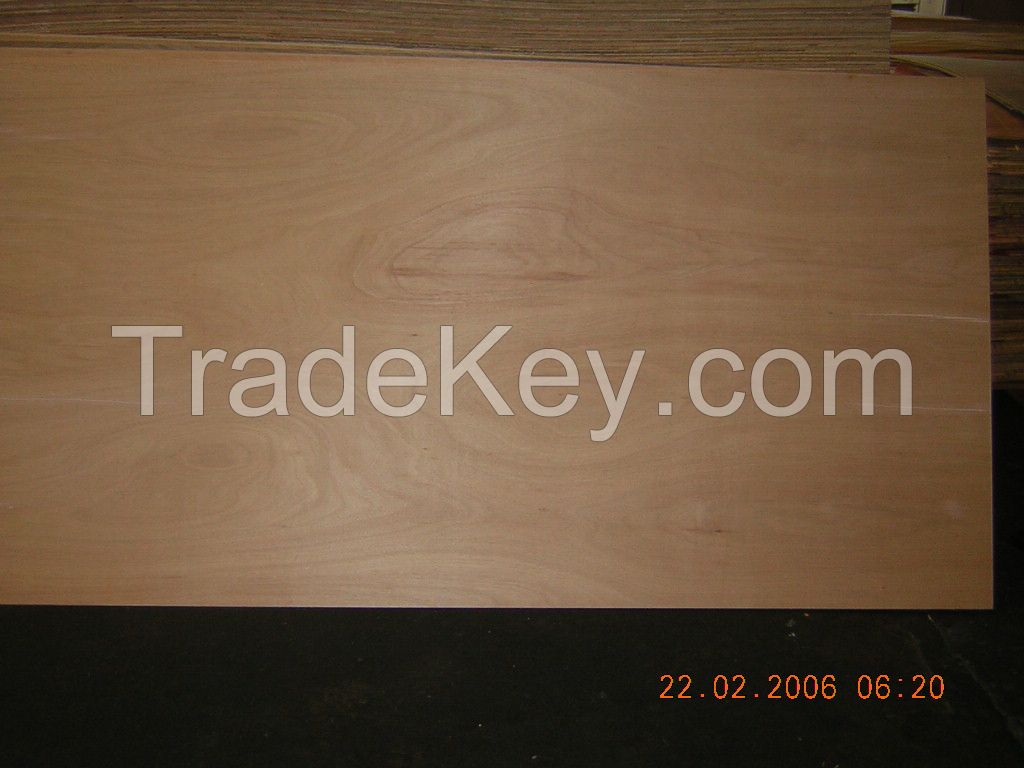 Falcata Plywood