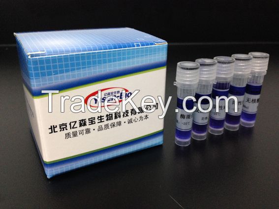 Aquatic diseases test kit, Elisa, PCR kit