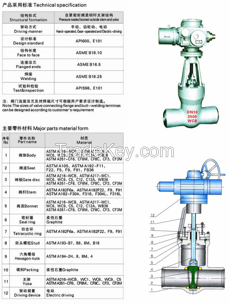 API Pressure Sealing (ps) Cast Steel Gate Valves