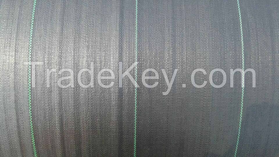 pp woven fabric