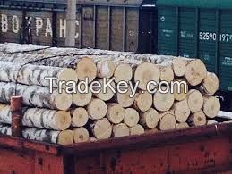 Birch logs