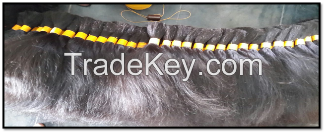 Processed Human Hair Indian Origin 