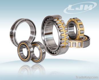 High precision double row cylindrical roller bearing NN series