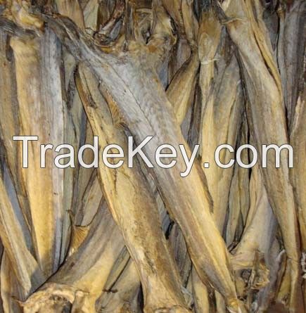 Dry Stock Fish