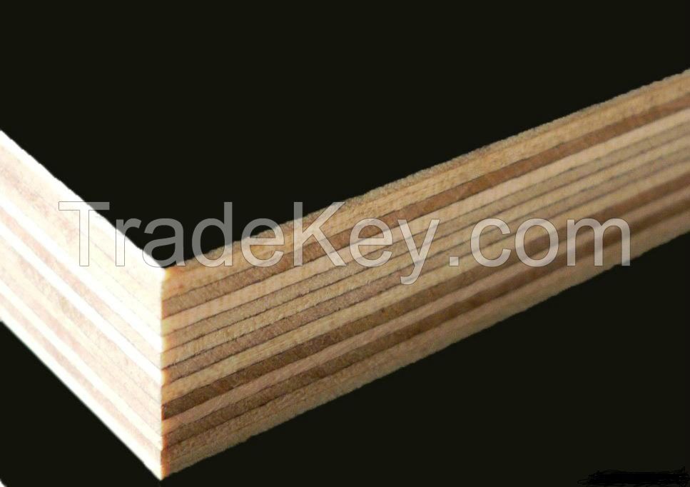 Film Faced Plywood for construction building