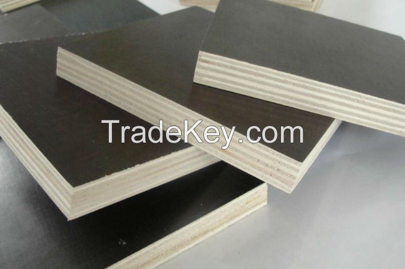 17mm film faced plywood/Marine Plywood