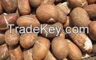 bitter kola nut