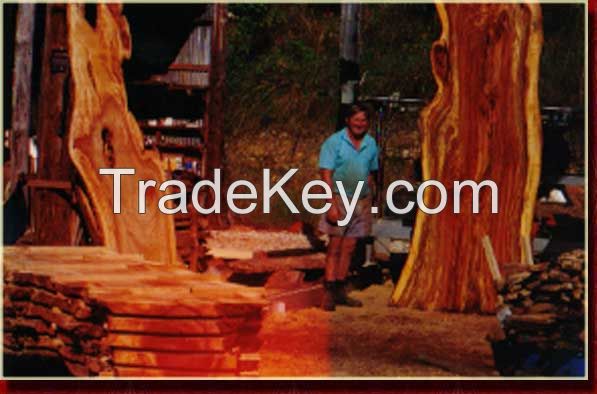 Sapele Timber Slabs, Iroko Timber Slabs, African Mahogany Timber Slabs, Walnut Timber Slabs, Oak Timber Slabs, Teak Timber Slabs, Red Padauk Timber Slabs, Zebra Timber Slabs, Cherry Timber Slabs, Kulim Timber Slabs, White Wood Timber Slabs etc available F