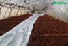 Soil Disinfection Film