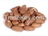 kola nut