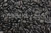 Sunflower seeds for hu...