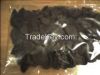 PALM KERNEL SHELL