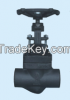 Forged globe valve