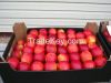 Fresh apples Gala Royal