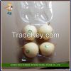 2015 New Crop high quality fresh Ya Pear