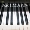 Shanghai Artmann ebony gloss 88 keys GP186 concert grand piano