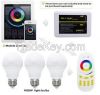 Milight wifi 2.4G Remote Controller for RGB Led Light Bulb with Dual CCT & WRGB Changealble