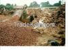  PALM KERNEL SHELL  (PKS)