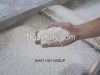 Calcium carbonate filler masterbatch