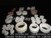 ceramic ferrule for st...