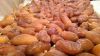 Divine Date - The Tast...