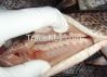 Cheap Frozen Tilapia Fish for sale