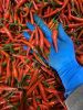 Fresh chilli peppers