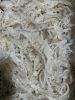 Dried Jelly Fish