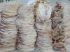 Dried Squid