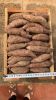 FRESH SWEET POTATOES
