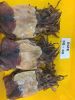 Dried Cuttlefish