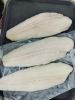 Frozen Basa Fish Fillet
