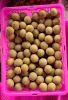 Fresh Longan