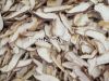 Dried Mushroom Slices ...