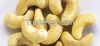 white raw Cashew Nut B...