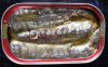 Canned Sardine/ Tuna/ ...