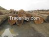 Quality timber logs and sawn woods