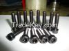 Hex Socket bolt