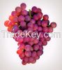 Grapes Fresh Flame see...