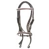 Leather Bridle, leathe...