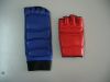 taekwondo hand and foo...