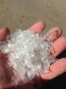 Pet plastic flakes wit...