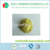 Milk Thistle Extract 80% Silymarin (UV) Silybins > 30(HPLC)