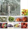 LUERYA2016 Vacuum Fried Vegetables And Frutis Chips Making Machine