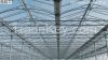 greenhouse glass