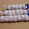 PE garlic mesh bag/small fruit mesh bag/vegetable mesh bag 